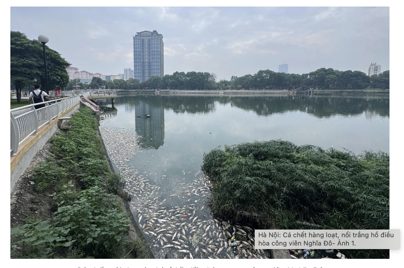 anh-man-hinh-2026-06-18-luc-150924-1781770184.png