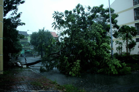 Bão số 9 khiến người Sài Gòn lội trong 'biển nước' do mưa to tầm tã - ảnh 2