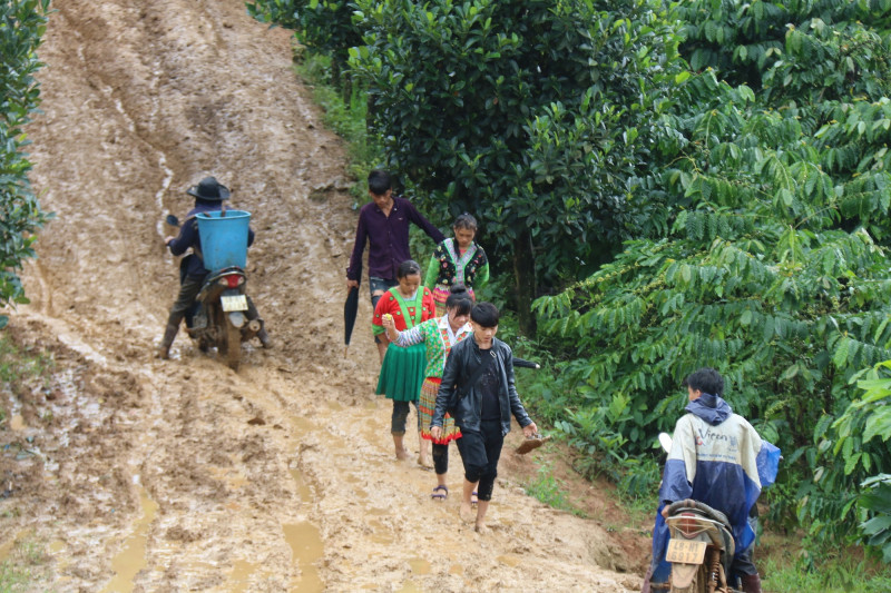 Không có giáo viên, hàng chục học sinh sẽ ở nhà ngày khai giảng - 7