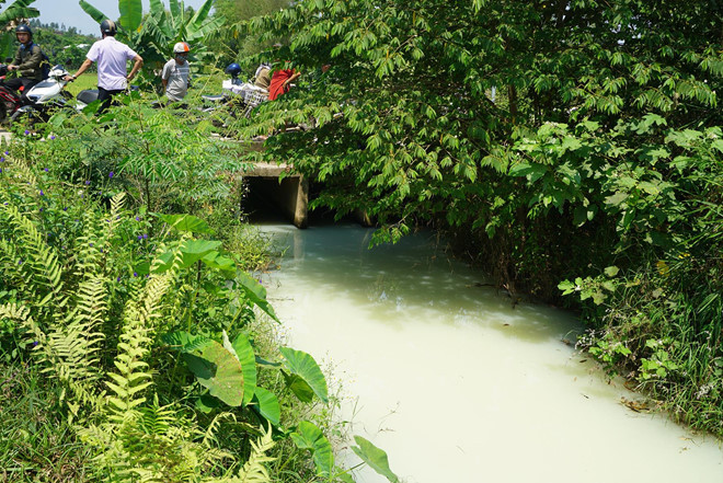 Tim ra doanh nghiep xa nuoc vang duc, co mui thuoc sau ra kenh hinh anh 1 