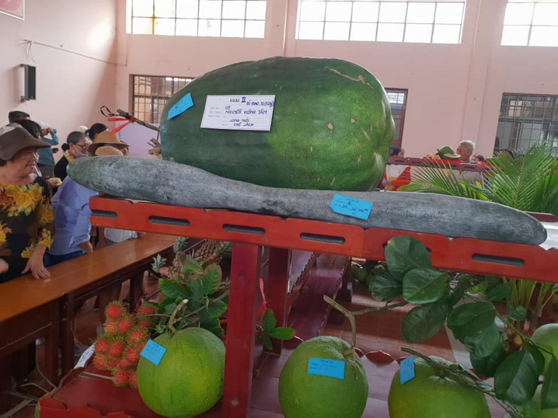 Hội chợ Nông nghiệp và sản phẩm OCOP khu vực Đồng bằng sông Cửu Long 2019 - Ảnh 3