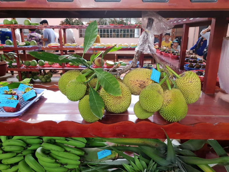 Hội chợ Nông nghiệp và sản phẩm OCOP khu vực Đồng bằng sông Cửu Long 2019 - Ảnh 5