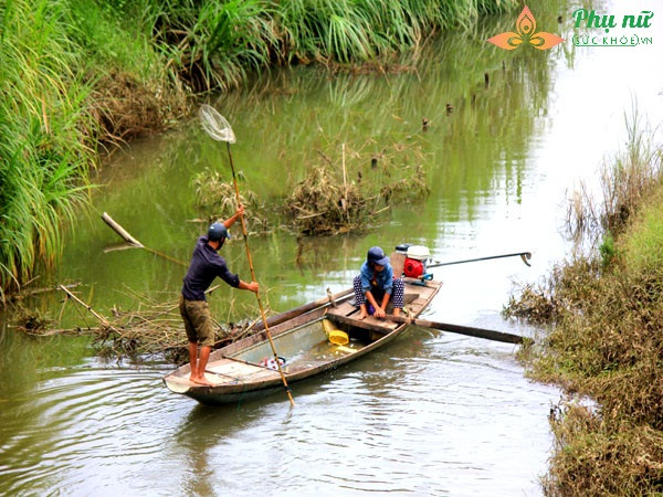 Những bóng hồng lái xuồng cừ khôi chơi vơi giữa dòng nước lũ mưu sinh - Ảnh 7