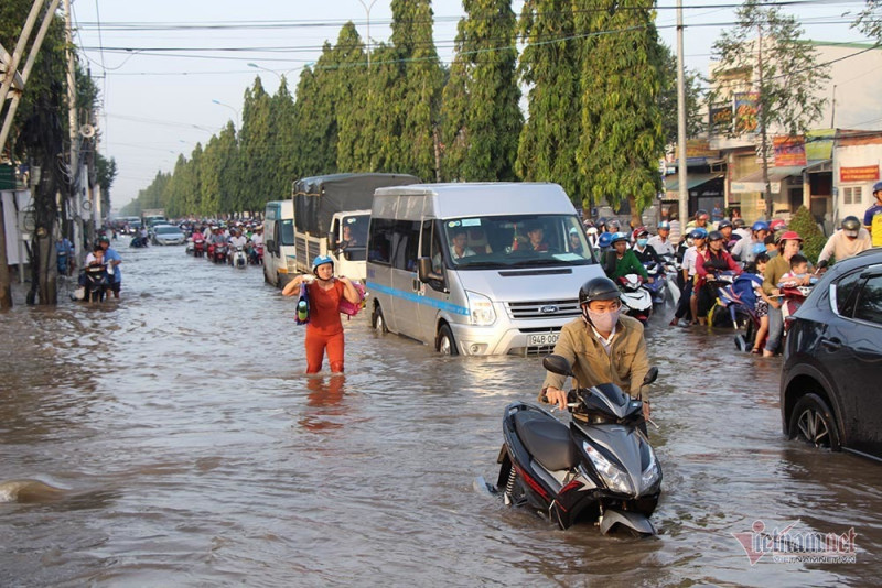 Đưa con đi học từ 5 rưỡi sáng, người Cần Thơ ngao ngán bơi trong biển nước