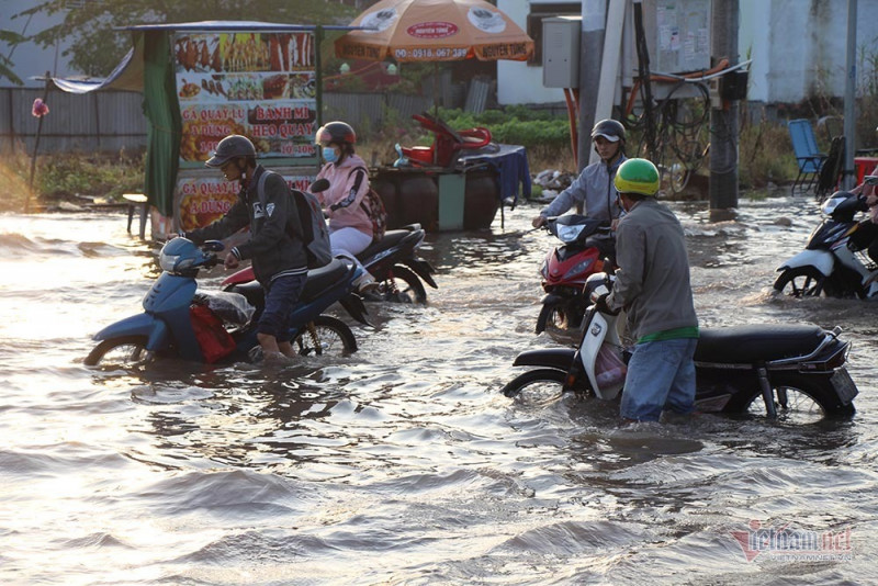 Đưa con đi học từ 5 rưỡi sáng, người Cần Thơ ngao ngán bơi trong biển nước