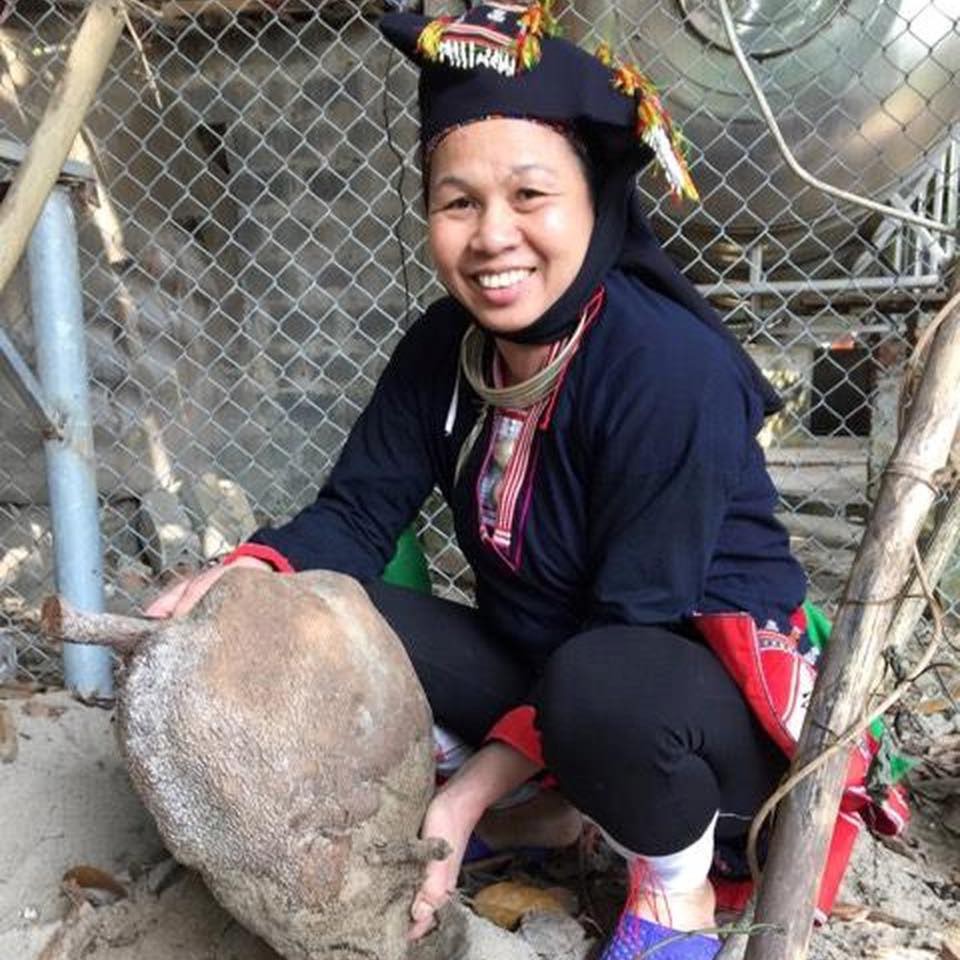 Lương y Triệu Thị Bình và sự thành công của sản phẩm &quot;Cao tiểu đường Mộc  Uyển Thanh&quot; ngày hôm nay - TRUYỀN HÌNH SỨC KHỎE PHÁP LUẬT | Sức khỏe và