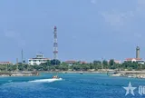 Những vì sao nơi cuối chân trời