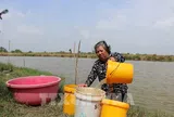 Người dân vùng biển Cần Thơ “khát” nước sạch