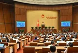 Quốc hội chốt giảm thuế xăng dầu về 0 đến hết tháng 6