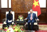 Việt Nam - Hoa Kỳ mở rộng hợp tác trong bán dẫn, AI và năng lượng sạch