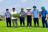 Học nghề đúng nhu cầu, mở thêm cơ hội việc làm cho lao động nông thôn