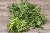2 loại rau “khoái khẩu” mùa lạnh dễ thành ổ sán, đứng đầu bảng ngoài chợ bán đầy