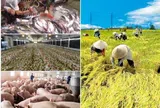 Đối tác công-tư nông nghiệp xu thế nổi bật ở một số nước trên thế giới