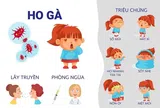 Ho gà: Cách điều trị và phòng bệnh