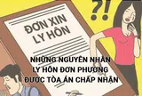 Những nguyên nhân ly hôn đơn phương được Tòa án chấp nhận