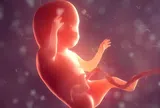 Ối vỡ non: Nguyên nhân, triệu chứng, lây truyền và cách điều trị