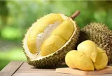 Cách nhận biết sầu riêng chín hay chưa