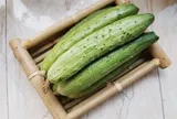 Dưa chuột bị đắng nên ăn hay bỏ?