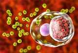 Bệnh Chlamydia có thể gây vô sinh