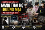 Triệt phá loạt đường dây mang thai hộ thương mại: Lộ mạng lưới xuyên quốc gia, lợi nhuận hàng trăm triệu đồng