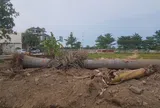 Nghi Kim (TP Vinh- Nghệ An): Cần làm rõ việc doanh nghiệp tự ý “cưỡng chế” nhà dân