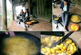 Ngày vui trên đất "vàng vui"