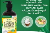 Những loại thảo dược rẻ tiền nhưng có tác dụng vô cùng hiệu quả trong điều trị gàu tại nhà