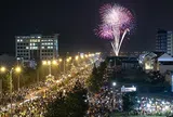 Pháo hoa và pháo nổ: Hiểu để tránh nhầm lẫn