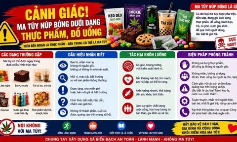 Cảnh giác ma túy “đội lốt” bánh kẹo, nước uống và thuốc lá điện tử