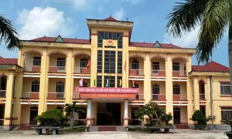 Cán bộ xã kê khống 28 tấn heo chết do dịch tả heo châu Phi, trục lợi riêng