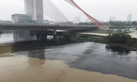 Lấy mẫu nước, điều tra thủ phạm xả thải ‘đầu độc’ sông Hàn