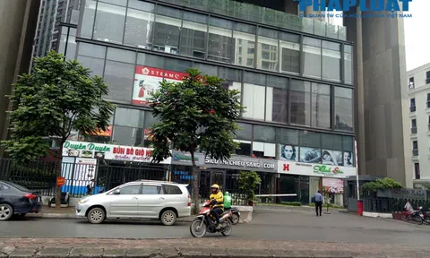 Ông chủ Dolphin Plaza 'xẻ' phòng chức năng của chung cư cao cấp thành 9 căn hộ để bán, cho thuê