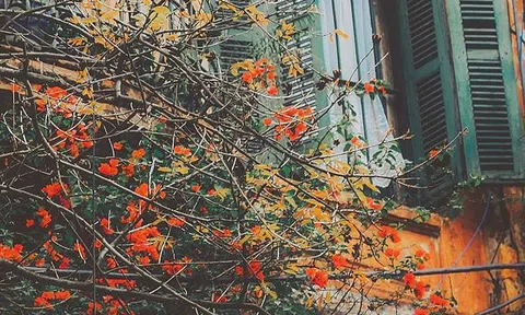 Thủ đô Hà Nội có mưa vài nơi, vùng núi có nơi dưới 17 độ C