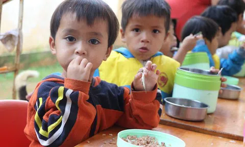 Xót xa bữa cơm với muối của học sinh vùng cao