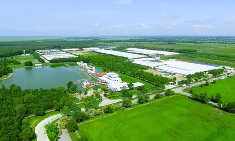 Vinamilk và những bước đi chiến lược trong 30 năm phát triển ngành chăn nuôi bò sữa