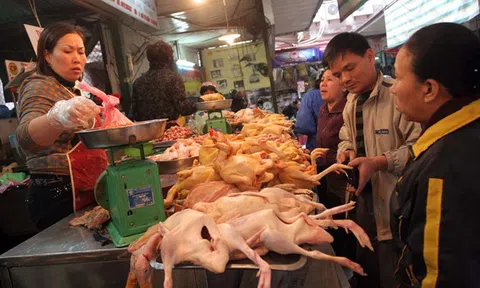 Sau thịt heo, giá gà biến động mạnh mùa giáp Tết