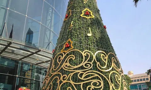 Chiêm ngưỡng những cây thông Noel khổng lồ trên đường phố Hà Nội