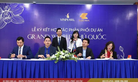 Euro group: Thị trường Condotel sẽ ra sao sau khi Cocobay ngửa bài