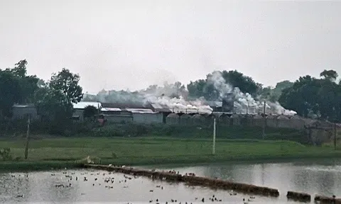 Xã Trạch Mỹ Lộc - Huyện Phúc Thọ: Loạt cơ sở sản xuất 'bức tử' môi trường, chính quyền có đang làm ngơ?