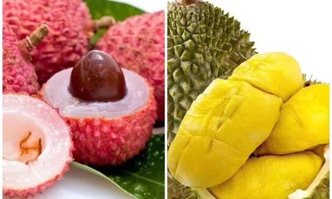 Lo bị xử phạt do ăn hoa quả có nồng độ cồn: Cơ quan soạn thảo Luật nói gì?