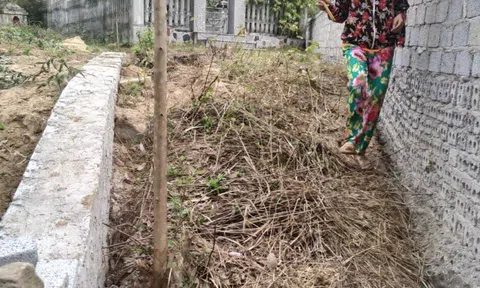 Chuyện lạ chính quyền “thỏa hiệp” với sai phạm ở Thanh Hóa: Kỳ 1: Gia đình liệt sỹ kêu cứu vì bị công trình trái phép chặn lối đi, chính quyền…“bó tay”