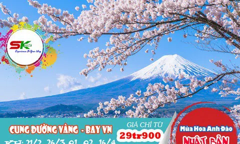 Tour Nhật Bản - Ngắm hoa anh đào dịp tết canh tý 2020