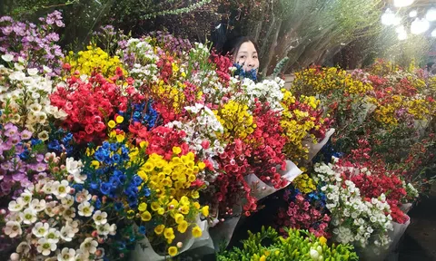 Chợ hoa đêm Quảng Bá lung linh những ngày cận Tết nguyên đán