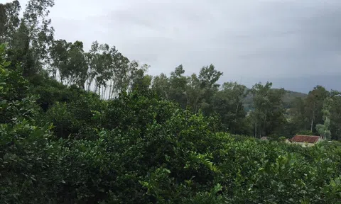 Chanh thiên nhẫn: “Hương sắc Nam Đàn, hồn thiêng Quê Bác”