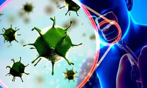 Virus corona - 21 câu hỏi và trả lời chuẩn từ tổ chức Y tế thế giới