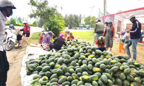Người dân Hà Nội đồng lòng, chung tay “giải cứu" nông sản giúp bà con nông dân