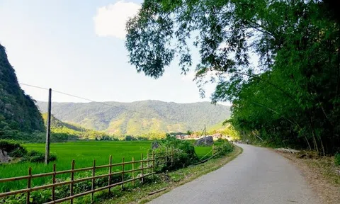 Xanh miền Quan Hóa