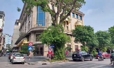 Nhà đầu tư trái phiếu “sốt sình sịch” ngóng cậu cả Tân Hoàng Minh hoàn tiền