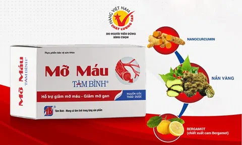 Nần vàng: Dược liệu quý cho người mỡ máu cao