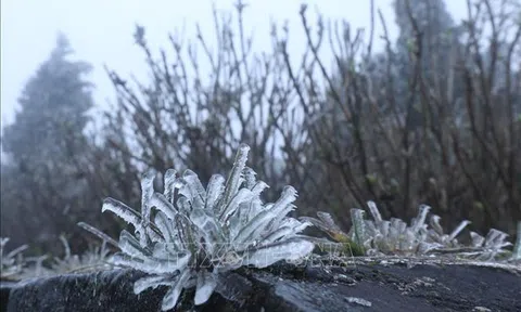 Không khí lạnh bao phủ Bắc Bộ, miền núi xuất hiện băng giá trong đêm nay